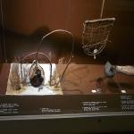 wie erlege ich eine Ente C10