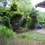 Terasse ohne Unterholz J2010