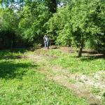 Unkrautflache vor der Bearbeitung J2010