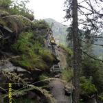 Treppe bei den Riesachfaellen L10