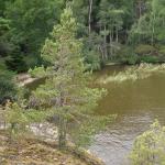 Schwedische Uferlandschaft S10