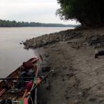 Donau bei Dombori D11