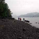 Ruderer in Visegrad Donauknie D11