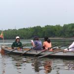 Rudervierer in Suedungarn D11