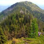 Grat vom Kochofen Loipoldhof 2011