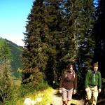 Weg zum Pleschnitzzinken Loipoldhof 2011