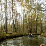 Buergerfliess Zweier Spreewald 11