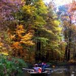 Ruderboote auf dem Puhlstrom Spreewald 11