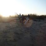 Ruderboote in den Elbduenen 2011