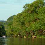 Ruderboot auf der Fulda WM11