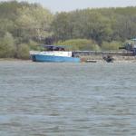 Baggerschiff Donau 2012