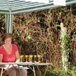 Meldebuero Drachenbootcup 2012