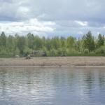 Rentiere am Ivalojoki Finnland 2012