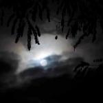 Halloween 2012 Stahnsdorf