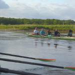 Ruderboot auf der Oder 2012