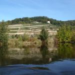 Weinbau am Ufer der Unstrut USE2012