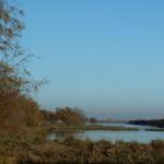 Einsame Lagune Venedig 2012