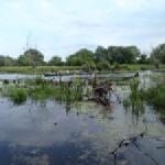 Nowy Dwor Hotel Modlin Anlegestelle Sumpf Weichsel 2013