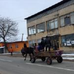 Einkaufen im Dorfkonsum Donau 2013