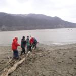 knueppeldamm zum boot Donau 2013