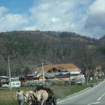 Ochsenkarren auf der Hauptstrasse rumaenien 2013