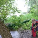 Bug im Gewitter 2013