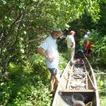 einsetzen swierze Bug 2013