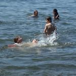 Badepause ruderer am Peetzsee 2013