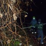 Spandauer Weihnachtsmarkt 2013