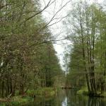 Ruderstrecke im Spreewald 2013