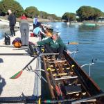 steg grande motte 2014