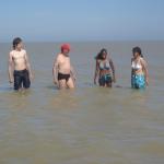 Ruderer im schwarzen meer donau 2014