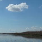 donaudelta schilf bis zum horizont donau 2014