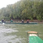 donauufer mit ruderboot donau 20104