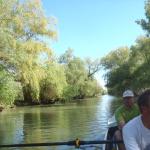 graeben im inneren delta donau 2014