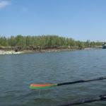 Ablegen Fetesti Donau 2014