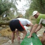 Boot auf dem Baum 2014