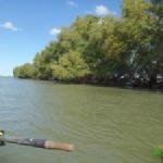 Lacul Uzlina Donau 2014