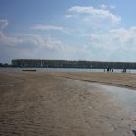 Sandbank in der Donau 2014