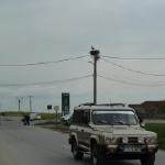 Truckstop Harsova 2014