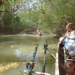 Unterholz auf dem Kanal crasnicol 2014