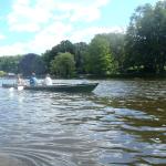 Kinderzweier Dresdenia 2014-1