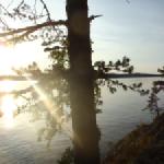 puumala kurz vor sonnenuntergang finnland 2014