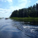 ruderer im nationalpark linnansaari saimaa 2014