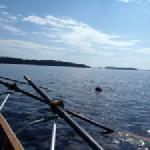 saimaa robbe jonathan 2014