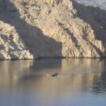 einfahrt novigrader meer 2014