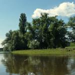 auf der Warthe Auwald 2014