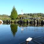 Bootstrailer in Burgwall 2015