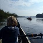 Ruderer auf dem Wentowsee 2015