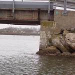 Flamingos Camargue 2015